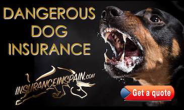 A dangerous Alsation dog with jaws open and salivating advertising dangerous dog liability insurance in Spain 