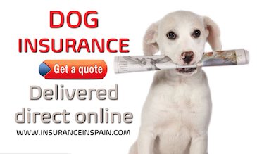 pet insurance spain cat dog puppy kitten pet plan insurance 