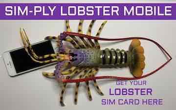 LOBSTER-mobile-sim-card-Agents-Spain LOBSTER MOBILE SIM CARDS SPAIN - 1STMONTH FREE. JOIN NOW.