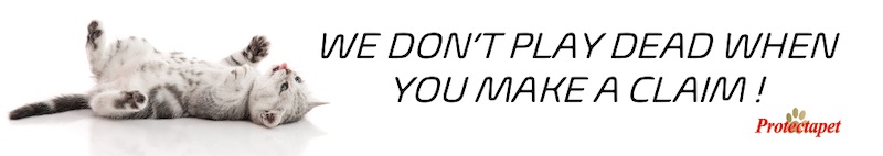 Does your pet insurance company play dead when you make a claim?
