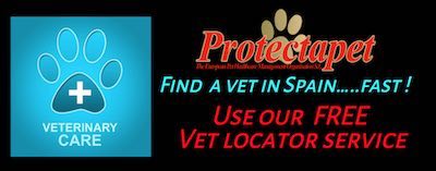 Find a vet in Spain near you